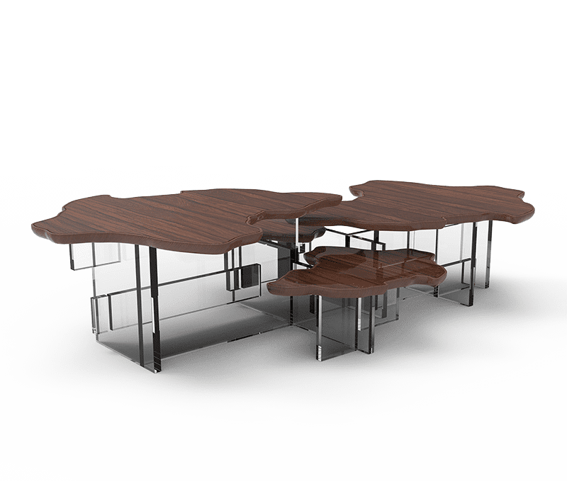 Monet Pau Santo Center Table